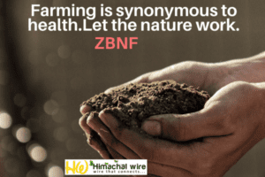 , Let the nature correct&#8230;follow zero Budget Natural Farming