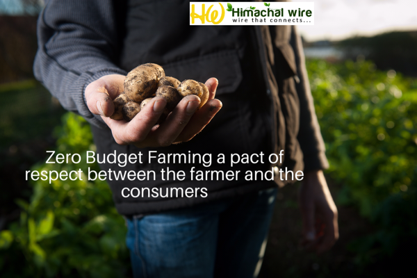 , Let the nature correct&#8230;follow zero Budget Natural Farming