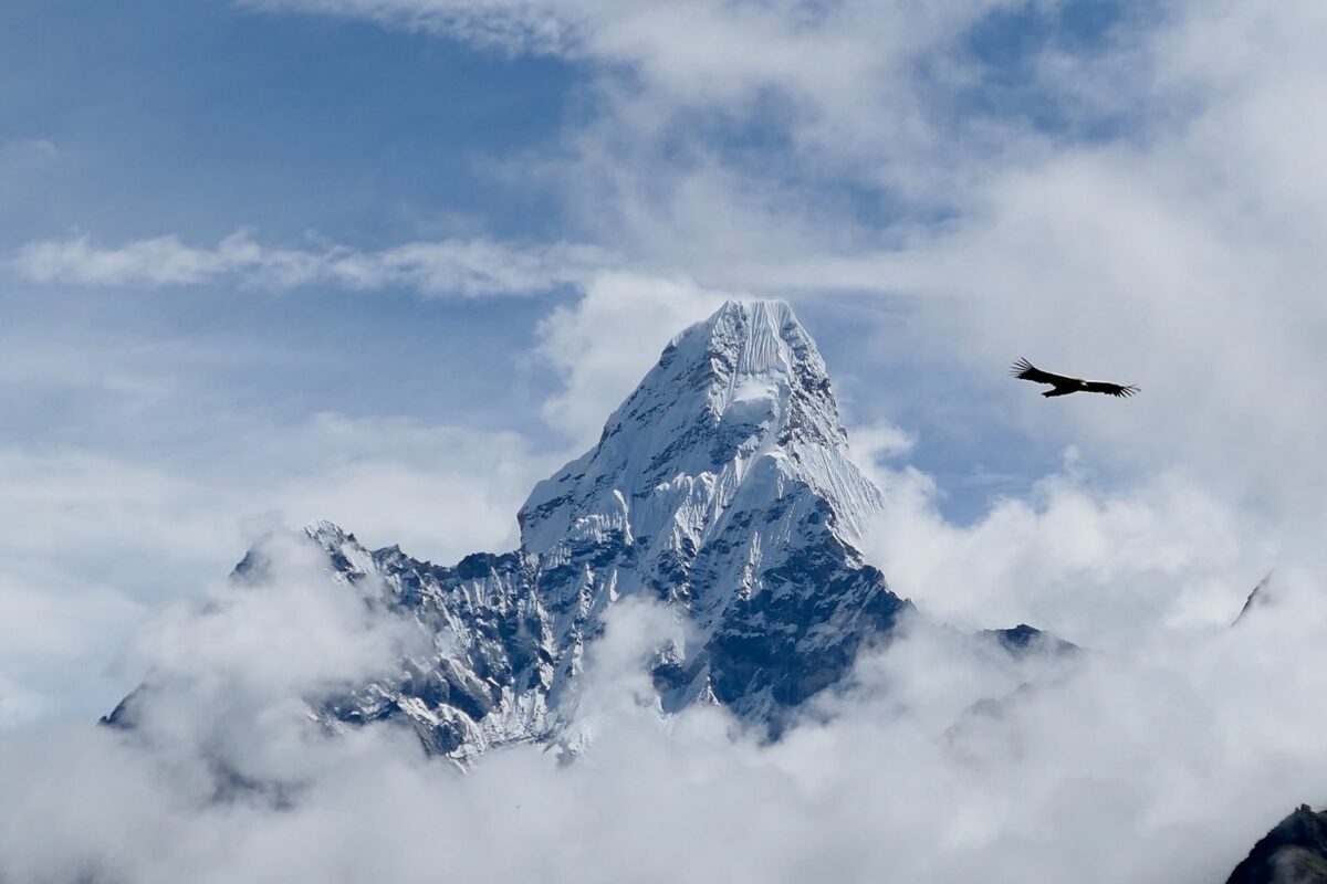 #HImalayas